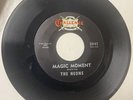 The Neons 1962 DOO WOP 45 Magic Moment / Fat Girls CHALLENGE Mint-/Mint- HEAR