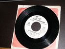 KINKS 45  The Village Green Preservation Society / Do You Remember  (promo) - NM