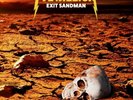 METALLICA - Exit Sandman - Live Awards Performances (Sand Coloured Vinyl) - LP