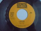 Butch Engle & The Styx - I Like Her c/w Going Home 1966 USA 45 LOMA GARAGE PSYCH
