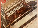 The Beatles – 1962-1966 2LP USED NOS STILL SEALED Red Vinyl DMM German Pressing