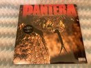 vinyl records, Pantera, The Great Southern Trendkill