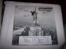 LP--DAVID BROMBERG--WANTED DEAD OR ALIVE  **PROMO**  **NM VINYL**   #828
