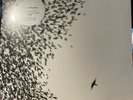 Wilco 