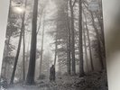 Vinyl Record: Taylor Swift Folklore in the Trees: Deluxe: New And Sealed