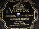 The Carter Family VICTOR 40000 E- 
