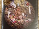 Florence and the Machine- Dog Days Are Over 2008 release 7