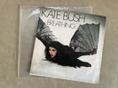 Kate Bush Breathing 7