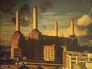 Pink Floyd - Animals (LP, Album, Gat)