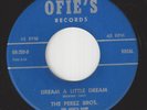 Doo Wop 45 - PEREZ BROS - Dream A Little Dream / Truly Truly Yours