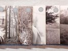 TAYLOR SWIFT Folklore Complete Set OOP Color Vinyl 2020 Deluxe 16LP Mint Sealed