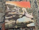 LED ZEPPELIN HOUSES OF THE HOLY LP RECORD SD 7255 STERLING RL  Clean . As