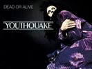 Dead Or Alive ‎- Youthquake LP 180 Gram Vinyl Album - SEALED NEW UK MOV RECORD