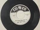 Dee Cals DOO WOP 45 Stars In The Blue What Should I Do / Wonderful CO ED DJ HEAR