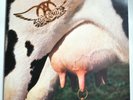 Aerosmith - Get A Grip - EU Vinyl First Pressing - 1993 - GEF 24444