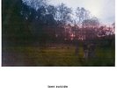 Teen Suicide - I Will Be My Own Hell Because There Is A Devil Inside My Body [Us