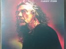 ROBERT PLANT & THE SENSATIONAL SPACE SHIFTERS LP 