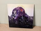 Björk - Vulnicura double 2 LP vinyl record 12