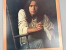 Dan Fogelberg - Souvenirs Vinyl Record, Near Mint Condition