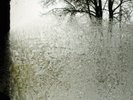 Bon Iver - For Emma Forever Ago vinyl LP NEW/SEALED IN STOCK
