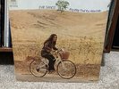 EVIE SANDS - Any Way That You Want Me 1969 A&M Records Vinyl Record LP Rare VG+