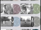 TAYLOR SWIFT Folklore LP  Set of 8 WEB EXCLUSIVE COLOR VINYL EDITIONS New SEALED