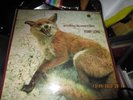 FURRY LEWIS BLUE HORIZON LP