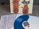 The Story So Far UNDER SOIL AND DIRT Blue / White Split Vinyl LP EX Wax Ltd /500