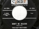 the ISLEY BROTHERS 45 Dont Be Jealous / This is the End CINDY doowop     Kz 896