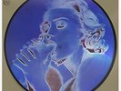 Madonna - Erotica Limited Edition Picture Disc Vinyl Single