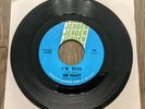Seattle Garage Rock 45 Jim Valley I'm Real / There Is Love Jerden 814 Viceroys