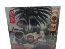 Ice-T Rhyme Pays Vinyl Record LP - 2014 Sire Records - BRAND NEW & SEALED