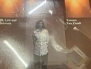 TOWNES VAN ZANDT   HIGH LOW AND IN BETWEEN (US ORIGINAL)