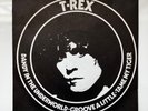 T.REX MARC BOLAN DANDY IN THE UNDERWORLD / GROOVE A LITTLE EMI MARC 17 7” 45