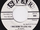 HERBERT HUNTER I Was Born To Love You  northern soul 45 promo LISTEN