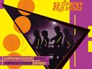 Buzzcocks - Different Kind Of Tension [New Vinyl LP]
