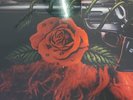 Guns n Roses. Live like a suicide