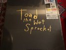 Toad The Wet Sprocket Limited Edition 5 LP Box Set 1346/1500. Sealed. New.