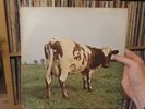 PINK FLOYD - ATOM HEART MOTHER 1st press VINYL LP - HARVEST A1 / B1  NO EMI