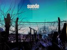 SUEDE- The Blue Hour 2-LP (SEALED** 2018 Vinyl) Brett Anderson Indie Rock