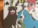 THE FORMAT - Dog Problems - Vinyl - **BRAND NEW/STILL SEALED** - RARE