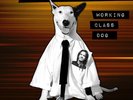 Rick Springfield - Working Class Dog (40th Anniversary Special Live Edition) [Ne