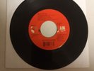 Soundgarden Black Hole Sun VG+ Grunge 90's Rock Rare 45 7
