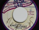 45 Reggae JIM BROWN & SCHORCHER Clipping MUSIC LAB HEAR