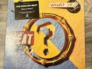 The English Beat: What Is-  1983 Vinyl Hype Promo Sticker