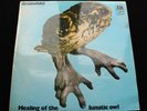 BRAINCHILD Healing Of The Lunatic Owl UK A&M 1970 1st pressing *MINT-* LP Psych