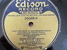 LONG PLAY EDISON DIAMOND DISC 30005 40 Minute Rarity 12 Inch Various Artists