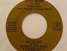Modern Soul 45 SPARKLE CITY BAND Day By Day RARE Bay Area Lo-Fi Magic  HEAR