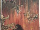 Slayer - Hell Awaits Thrash Metal Proud  Lp Vinyl Record  See Description