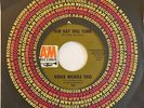 Pop Psych 45 ROGER NICHOLS TRIO Our Day Will Come/Don't Go Breaking My Heart A&M